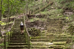 Camino a La Danta