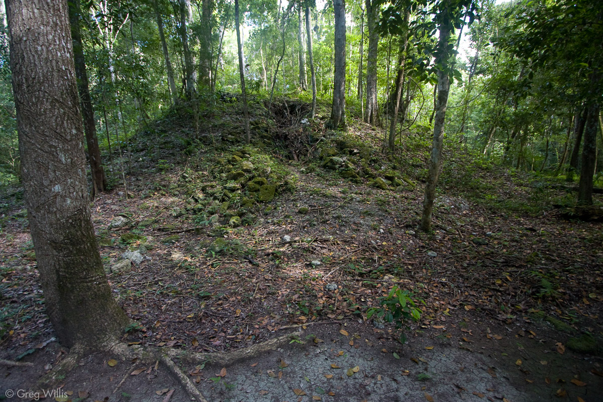 Structure near the south pyramid in Tintal