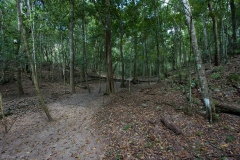 A ballcourt at Tintal